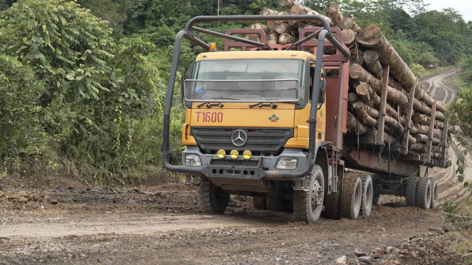 À Bornéo, les sacrifiés de l’expansion